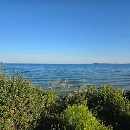 Juli Sorento Sveti Vlas